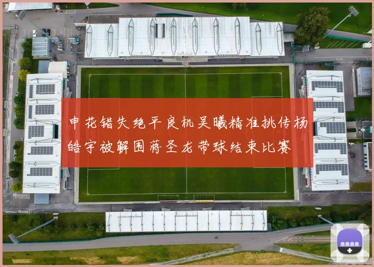 申花错失绝平良机吴曦精准挑传杨皓宇被解围蒋圣龙带球结束比赛